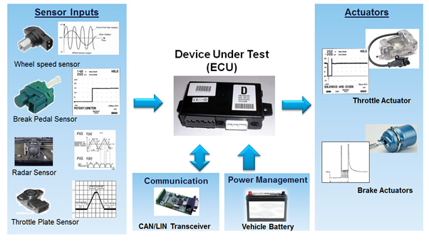 What Are We Testing?